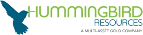 Human Bird logo