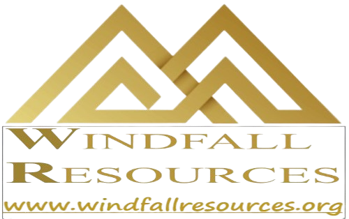 Windfall logo